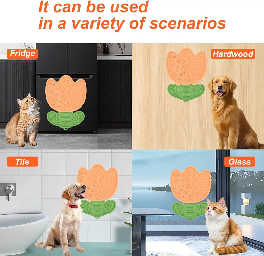 Gamelle anti-glouton pour chat — des repas en douceur