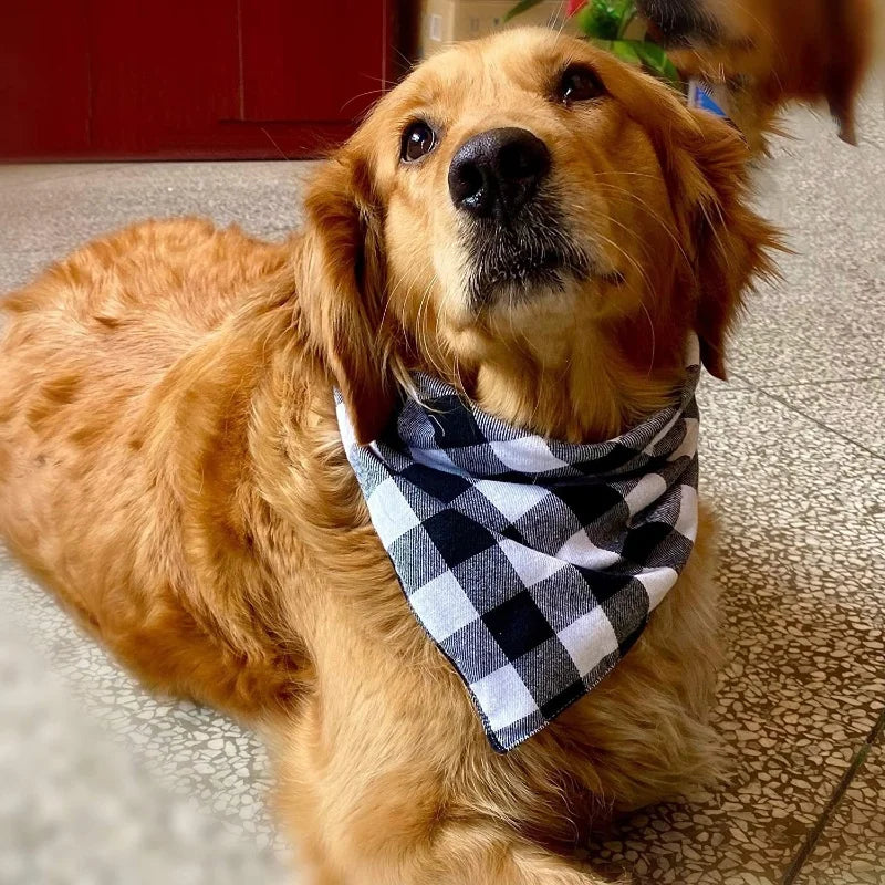 Bandana premium réversible — le style en un nœud