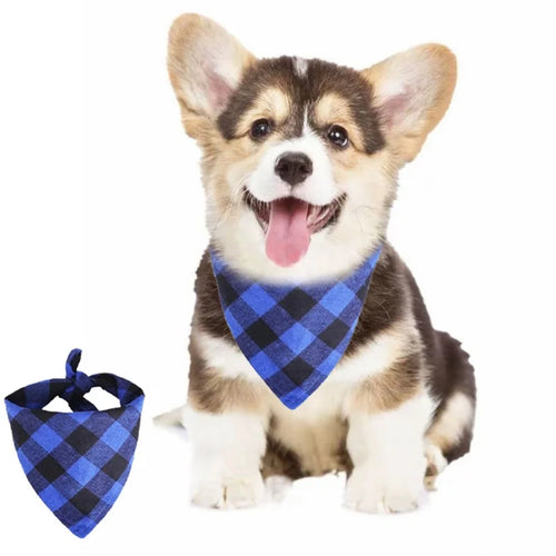 Bandana premium réversible — le style en un nœud