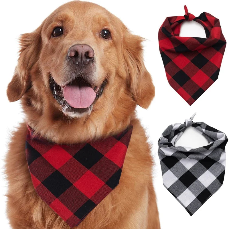 Bandana premium réversible — le style en un nœud