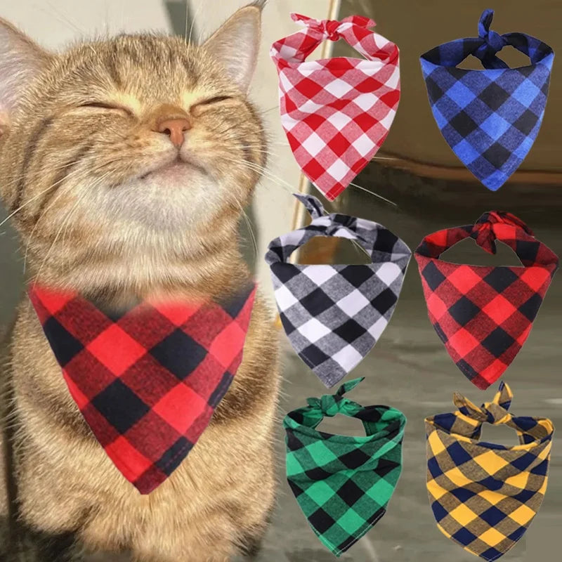 Bandana premium réversible — le style en un nœud