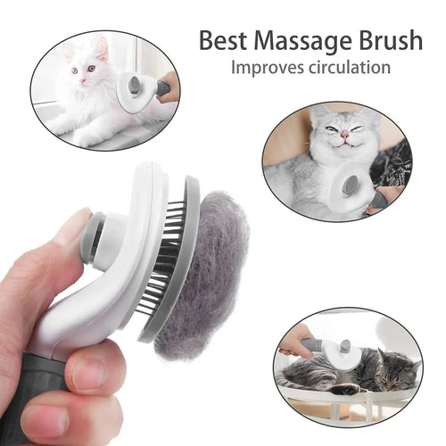 Brosse autonettoyante utilisée sur un chat