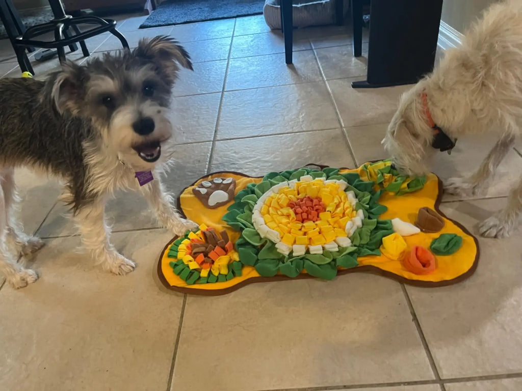 Tapis de fouille — stimulation et instinct naturel
