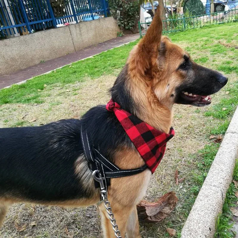 Bandana premium réversible — le style en un nœud